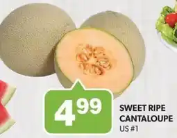 Colemans Sweet ripe cantaloupe offer