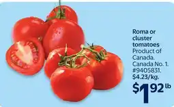 Walmart Roma or cluster tomatoes offer