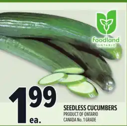 Metro SEEDLESS CUCUMBERS offer