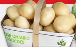 Metro LOCAL BASKETS PEACHES, WHITE POTATOES OR DILL CUCUMBERS 3L, NECTARINES 2L OR FIELD TOMATOES 3L offer
