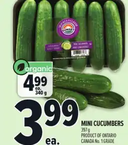 Metro MINI CUCUMBERS offer