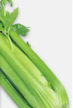 Metro CELERY, SWEET NANTES CARROTS offer