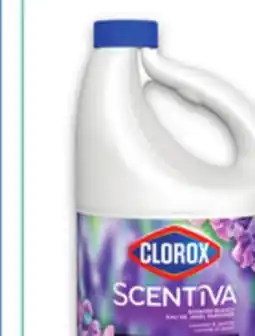 Metro CLOROX BLEACH offer