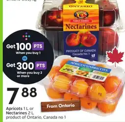 Sobeys Apricots 1 L or Nectarines 2 L offer
