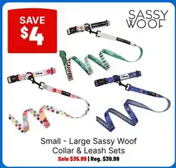 Ren’s Pets Depot Small - Large Sassy Woof Collar & Leash Sets offer
