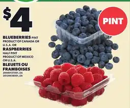 Independent Grocer BLUEBERRIES PINT OR RASPBERRIES HALF PINT offer