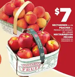 Independent Grocer NECTARINES 2 L OR PEACHES 3 L offer