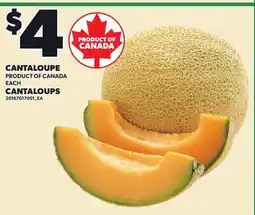 Independent Grocer CANTALOUPE offer