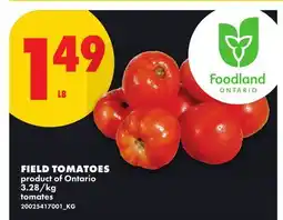 No Frills FIELD TOMATOES offer