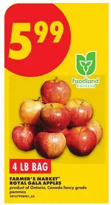 No Frills FARMER'S MARKET RED DELTA APPLES, 4 LB BAG offer