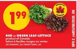 No Frills RED OR GREEN LEAF LETTUCE offer