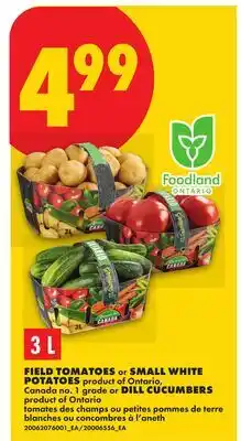 No Frills FIELD TOMATOES or SMALL WHITE POTATOES or ONIONS or DILL CUCUMBERS offer
