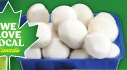Food Basics ROMAINE HEARTS PRODUCT OF CANADA 3 PK WHOLE WHITE OR REMINI MUSHROOMS PRODUCT OF CANADA 454 G offer