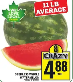 Food Basics SEEDLESS WHOLE WATERMELON offer