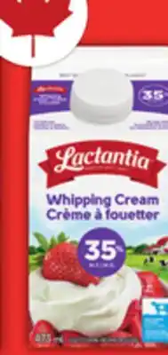 Food Basics LACTANTIA CREAM offer
