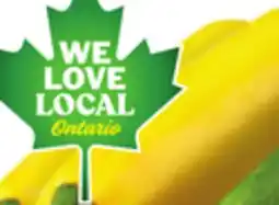 Food Basics GREEN, GRAY OR YELLOW ZUCCHINI offer