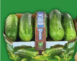 Food Basics FRESH DILL PICKLING CUKES OR POTATOES offer