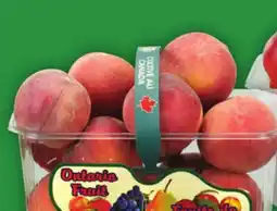 Food Basics PEACHES OR NECTARINES offer