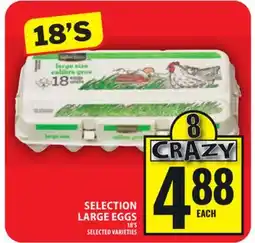Food Basics SELECTION LARGE EGGS offer