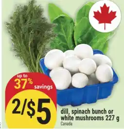 Marché Adonis DILL, SPINACH BUNCH OR WHITE MUSHROOMS offer