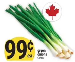 Marché Adonis green onions offer