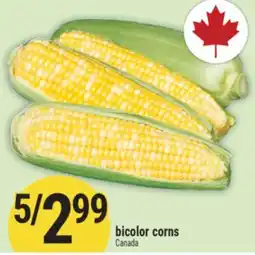 Marché Adonis bicolor corns offer