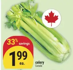 Marché Adonis celery offer