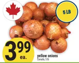 Marché Adonis yellow onions offer