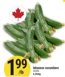 Marché Adonis LEBANESE CUCUMBERS offer