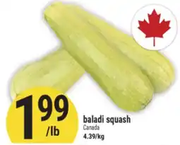 Marché Adonis baladi squash offer