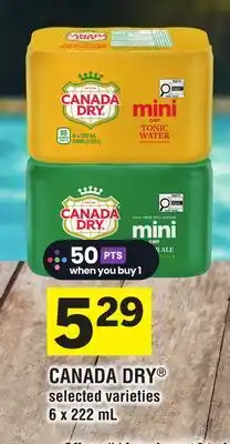 Foodland CANADA DRY offer