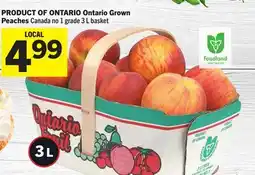 Foodland Peaches Canada offer