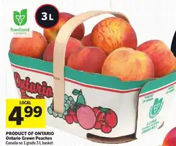 Foodland Canada no 1 grade 3 L basket offer