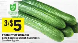 Foodland Long Seedless English Cucumbers offer