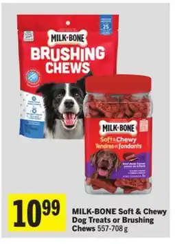 Foodland Soft & Chewy Dog Treats or Brushing Chews offer