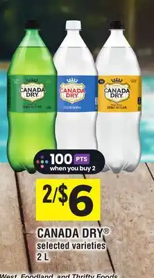 Foodland CANADA DRY offer