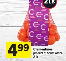 Foodland Clementines offer