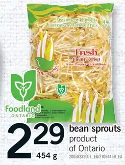 Fortinos BEAN SPROUTS offer