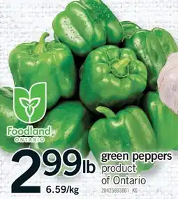 Fortinos GREEN PEPPERS offer