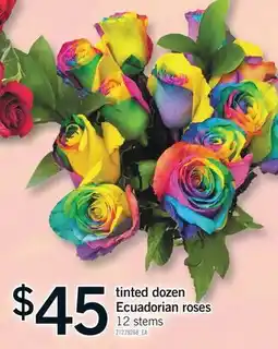 Fortinos TINTED DOZEN ECUADORIAN ROSES, 12 STEMS offer