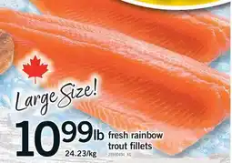 Fortinos FRESH RAINBOW TROUT FILLETS offer