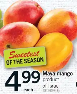 Fortinos MAYA MANGO offer
