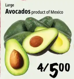 Farm Boy Large Avocados offer