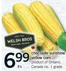 Fortinos CHOCOLATE SUNSHINE YELLOW CORN, 5'S offer