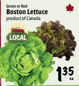 Farm Boy Green or Red Boston Lettuce offer