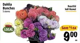 Farm Boy Dahlia Bunches offer