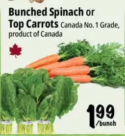 Farm Boy Bunched Spinach or Top Carrots offer