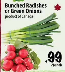 Farm Boy Bunched Radishes or Green Onions offer
