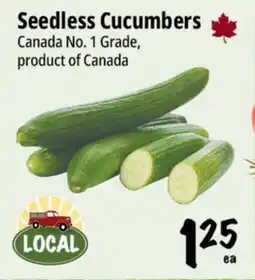 Farm Boy Seedless Cucumbers offer