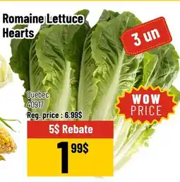 Mayrand Romaine Lettuce Hearts offer